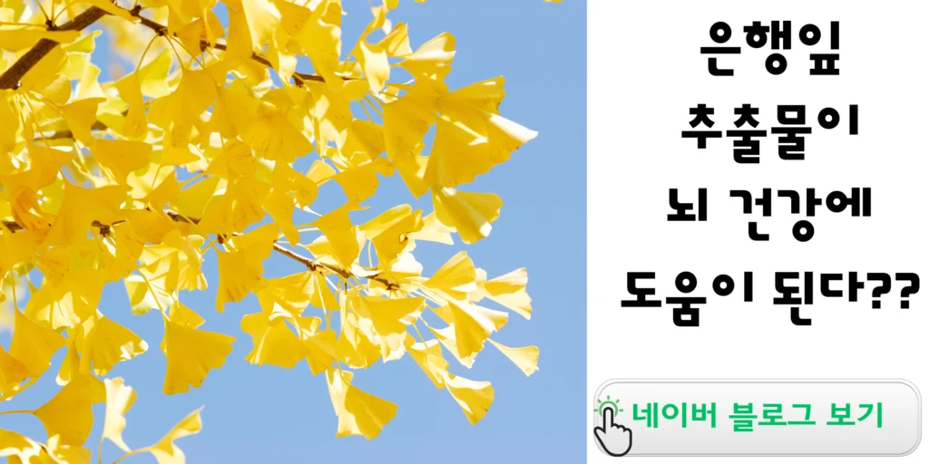 기억력에 좋은 영양제 추천 은행잎 추출물 효능 효과 중외제약 프리미엄 앤 징코 후기