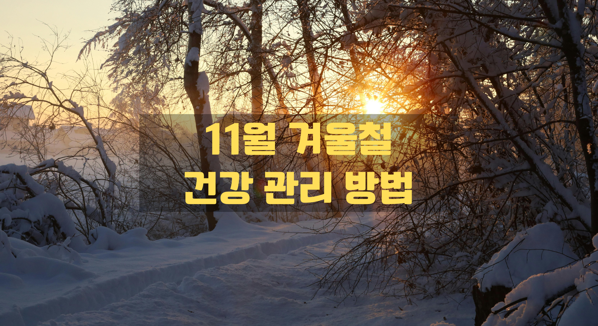 11월 겨울철 건강관리 방법