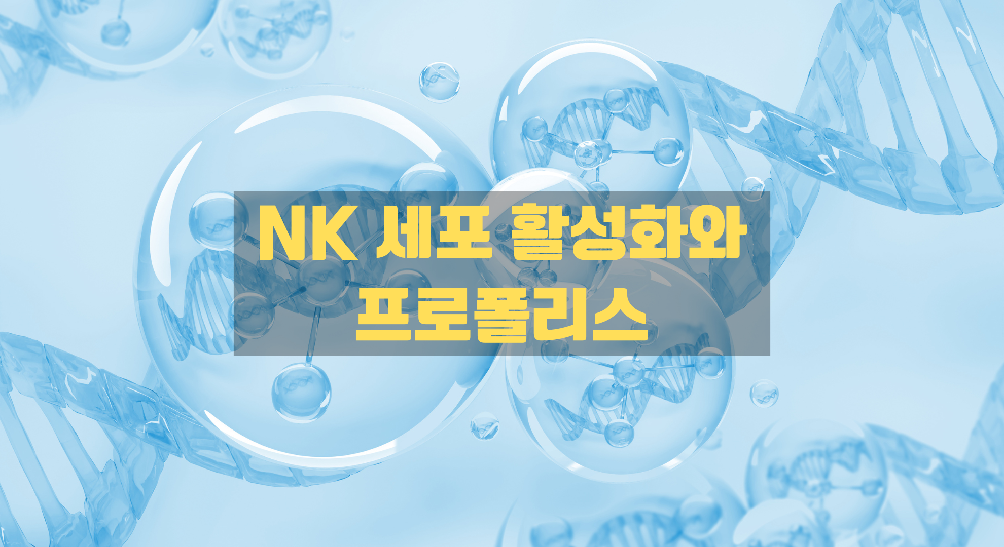 nk 세포 활성화와 브라질산 그린 프로폴리스와의 상관 관계