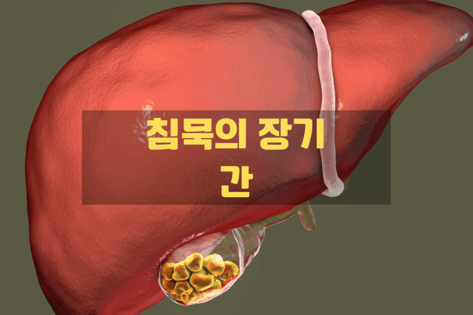 간 건강을 지키고 유지하는 방법