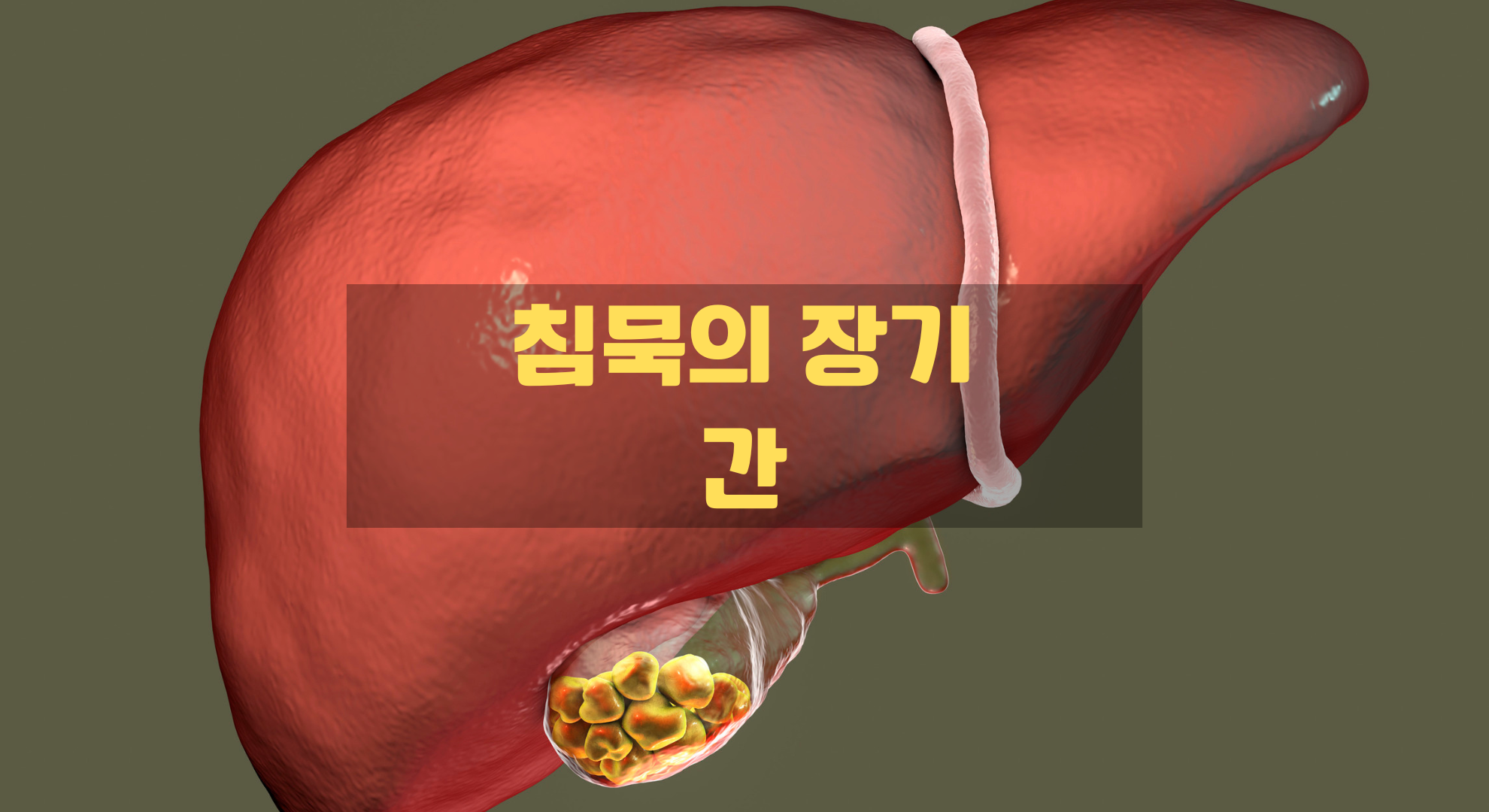 간 건강을 지키고 유지하는 방법