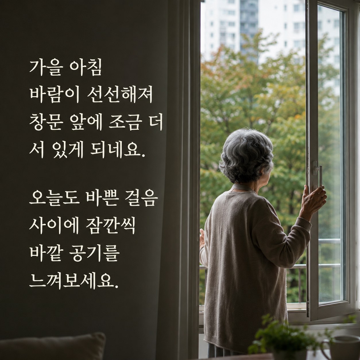 가을 아침 인사말 - 선선해진 바람 글귀 이미지