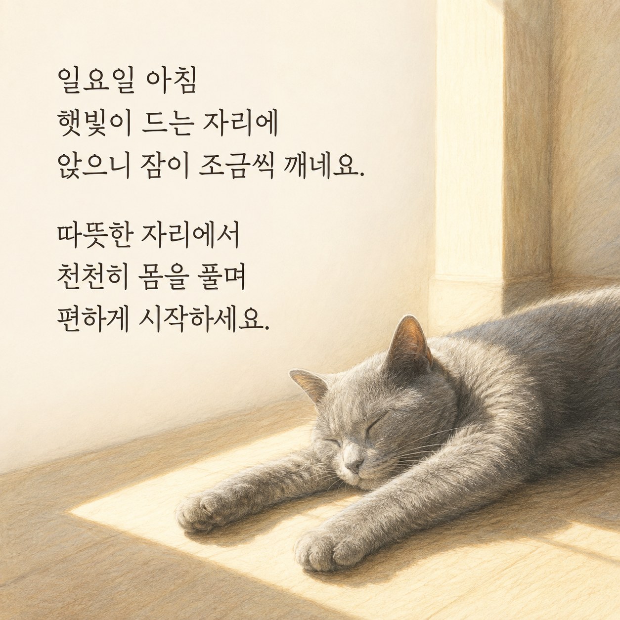 햇빛 드는 자리 아침 인사말 글귀 이미지