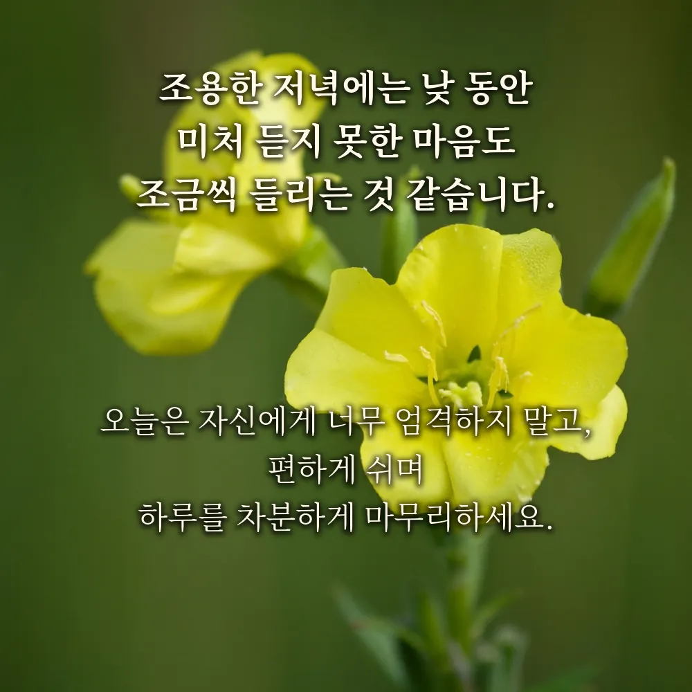 저녁 인사글귀 이미지 26 - 조용한 저녁에는 낮 동안 미처 듣지 못한 마음도 조금씩 들리는 것 같습니다